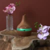 DIFFUSEUR HUILES ESSENTIELLES LED