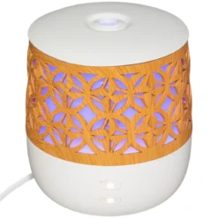 DIFFUSEUR HUILES ESSENTIELLES 100ML
