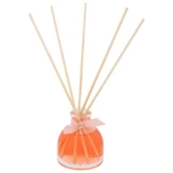 DIFFUSEUR VERRE IZOR FRUIT DES BOIS 50ML