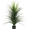DRACENA EN POT PLASTIQUE NOIR H120CM