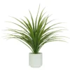 DRACENA 61 FEUILLES H95CM