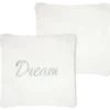 DREAM COUSSIN 45X45CM ARGENT