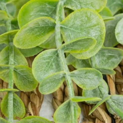 EUCALYPTUS A SUSPENDRE ZEA POT NATUREL H.70CM