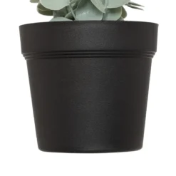 EUCALYPTUS EN POT MERLY H.51CM