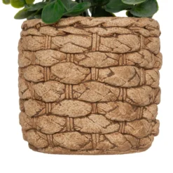 EUCALYPTUS POT CIMENT TRESSE JAYE H.27CM