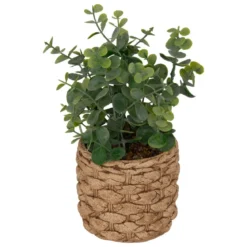 EUCALYPTUS POT CIMENT TRESSE JAYE H.27CM
