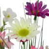 FAGOT FLEURS JOSIA H.70CM