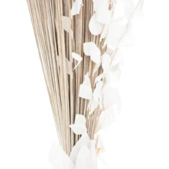 FAGOT ORCHIDEE BLANC H.100CM