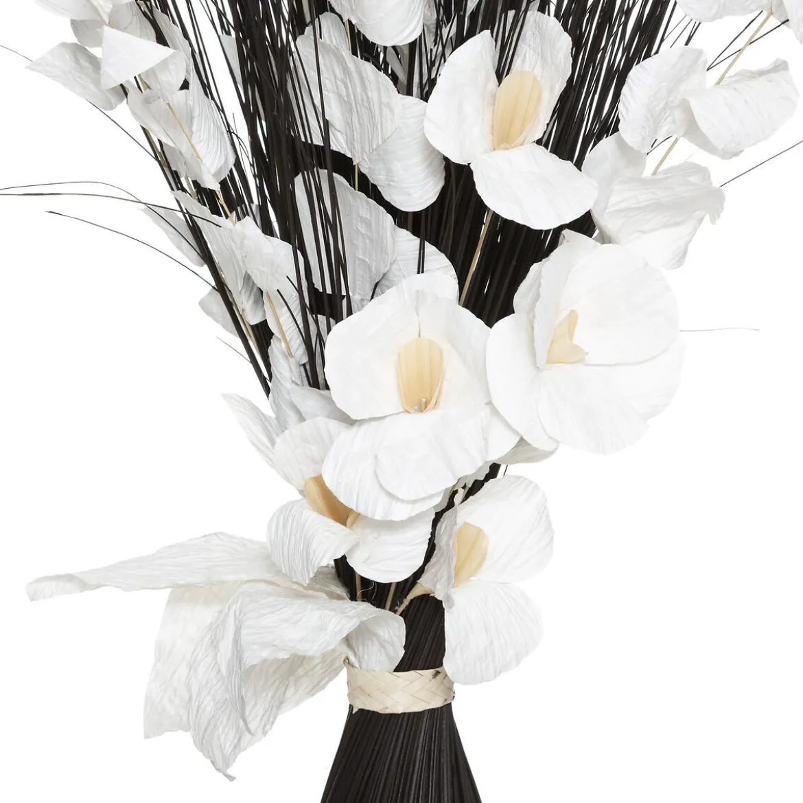 FAGOT ORCHIDEE BLANC NOIR H.100CM