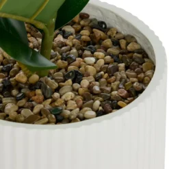 FICUS POT CERAMIQUE STRIE SKY H.145CM
