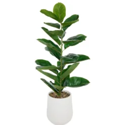FICUS POT CERAMIQUE STRIE SKY H.145CM