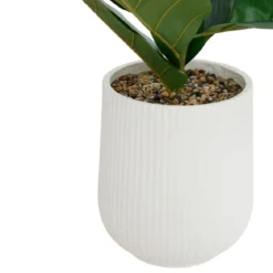 FICUS POT CERAMIQUE STRIE SKY H.145CM