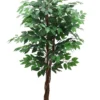 FICUS 3 TRONCS 756 FEUILLES POT H.150CM