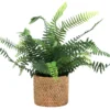 FOUGERE POT CIMENT EFFET CANNAGE H.40CM
