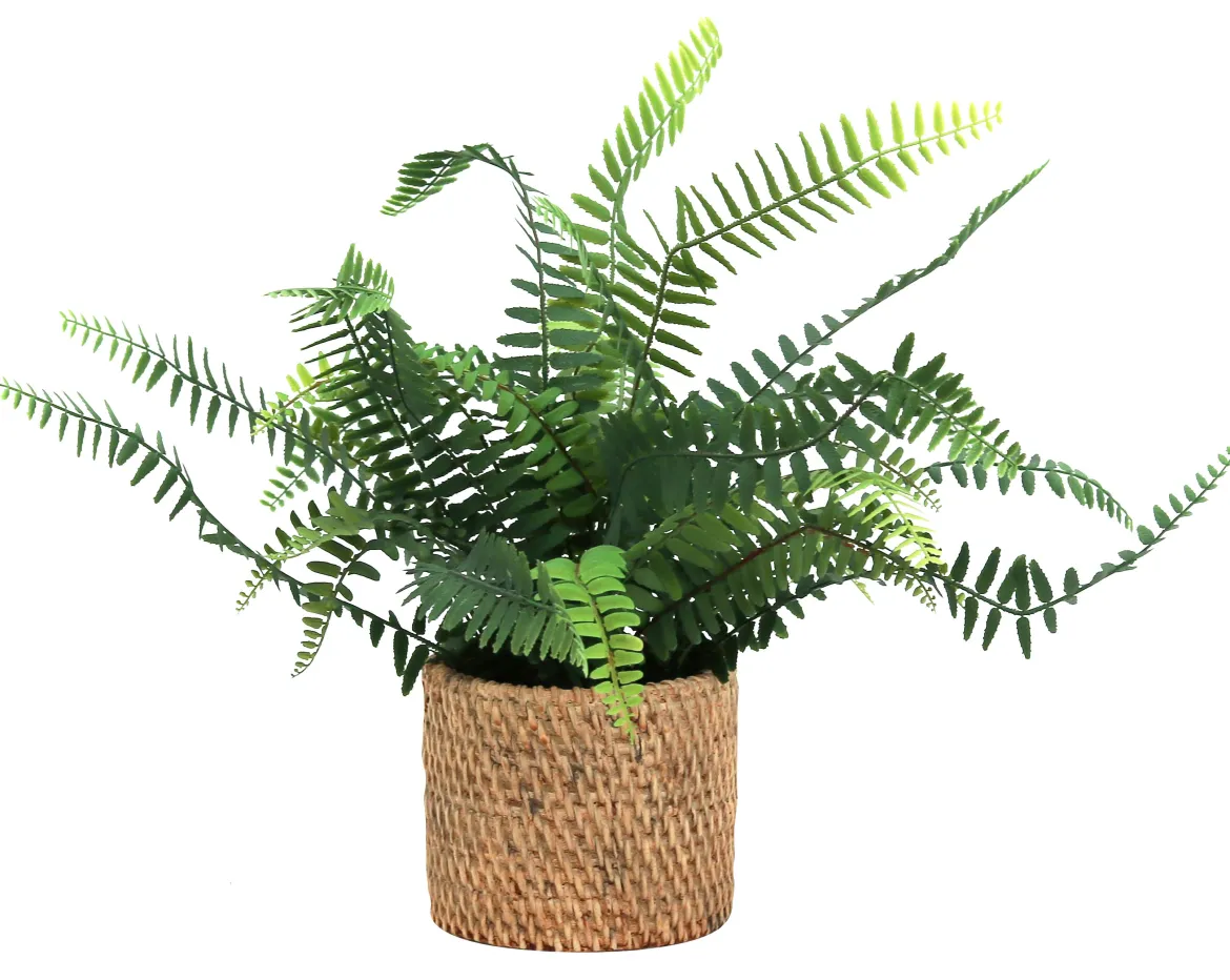 FOUGERE POT CIMENT EFFET CANNAGE H.40CM