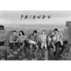 FRIENDS MAXI POSTER 61X91.5CM