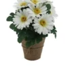 GERBERAS EN POT TOILE DE JUTE H32CM