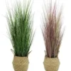 GRAMINEES AVEC CACHE POT OSIER H75CM