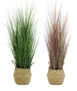 GRAMINEES AVEC CACHE POT OSIER H75CM