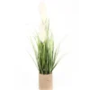 GRAMINEES ET PLUMEAUX POT CORDAGE H.80CM