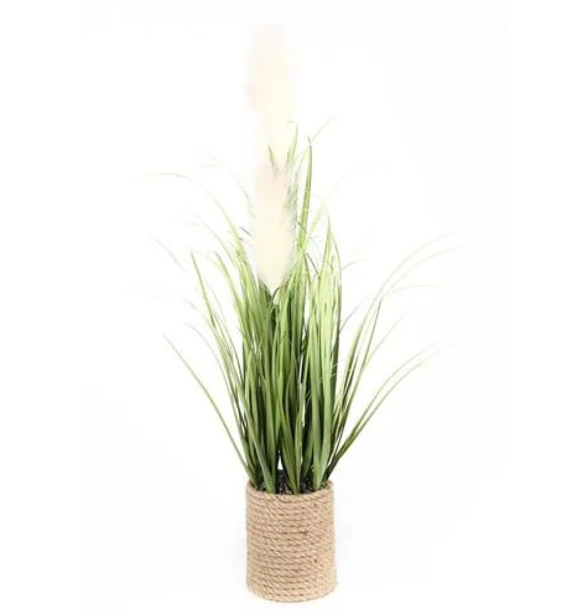 GRAMINEES ET PLUMEAUX POT CORDAGE H.80CM