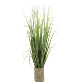 GRAMINEES POT CORDE H65CM