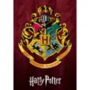 HARRY POTTER HOGWARTS ECOLE MAXI POSTER 61X91.5CM