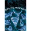 HARRY POTTER PATRONUS MAXI POSTER 61X91.5CM