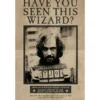 HARRY POTTER SIRIUS BLACK MAXI POSTER 61X91.5CM