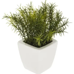HERBE POT CERAMIQUE OKO BLANC H.15CM