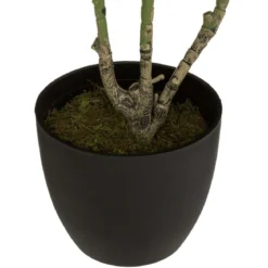 HORTENSIA H.60CM