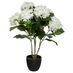 HORTENSIA H.60CM