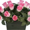 JARDINIERE BOUTON ROSE