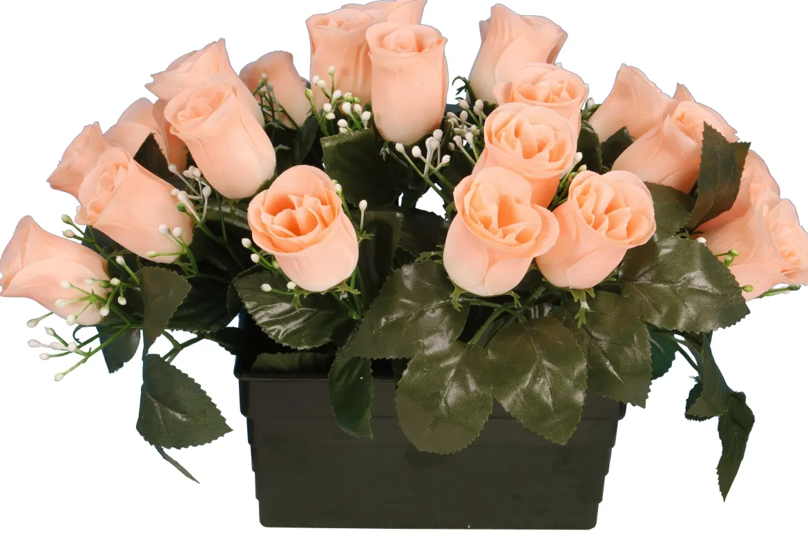 JARDINIERE BOUTON ROSE
