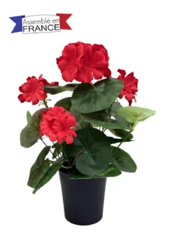 JARDINIERE DE GERANIUMS L25CM H35CM ROUGE ET ROSE
