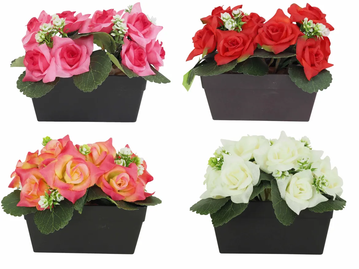 JARDINIERE 14 ROSES ET PETITES SUCCULENTES H.16CM 4 COULEURS