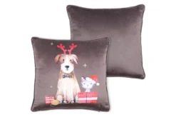 JOYEUX COUSSIN 40X40CM