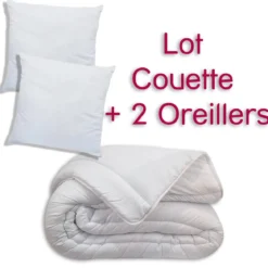 KIT COUETTE 220X240CM 350G ET 2 OREILLERS 60X60CM