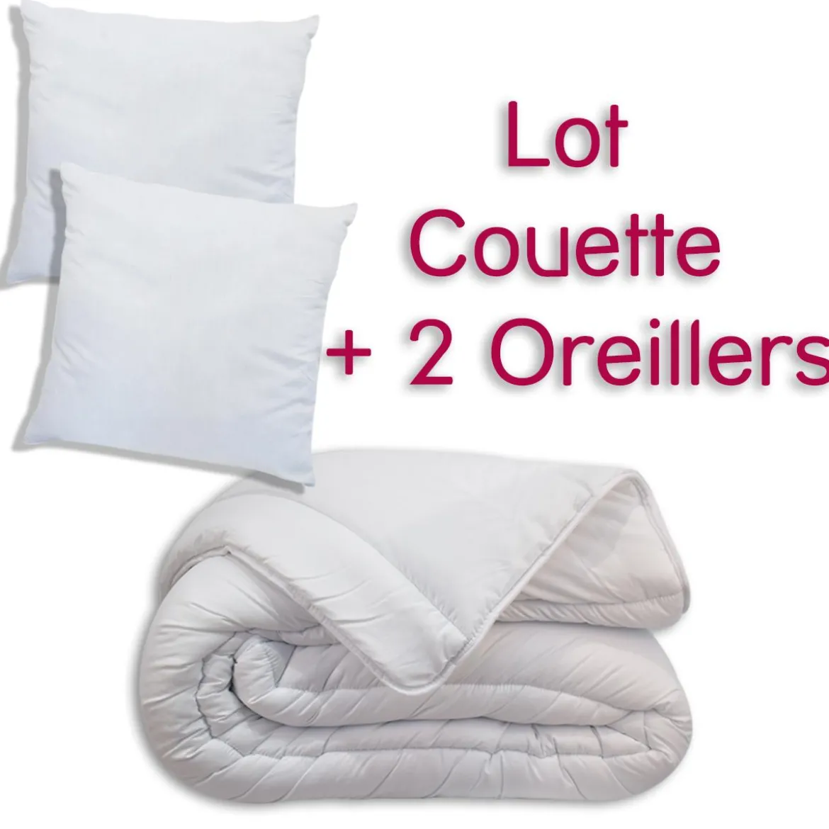 KIT COUETTE 220X240CM 350G ET 2 OREILLERS 60X60CM