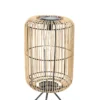 LAMPE SOLAIRE 3 PIEDS 21.5X45CM