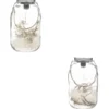LANTERNE LED FLEURS SECHEES D.17X28CM