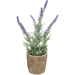 LAVANDE POT CIMENT H.36CM