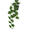 LIERRE RETOMBANT POT PLASTIQUE NOIR L.51CM