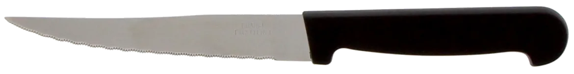 LOT 3 COUTEAUX STEAK MANCHE POLYPRO