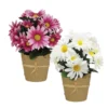 MARGUERITES POT KRAFT H.28CM BLANC ET ROSE