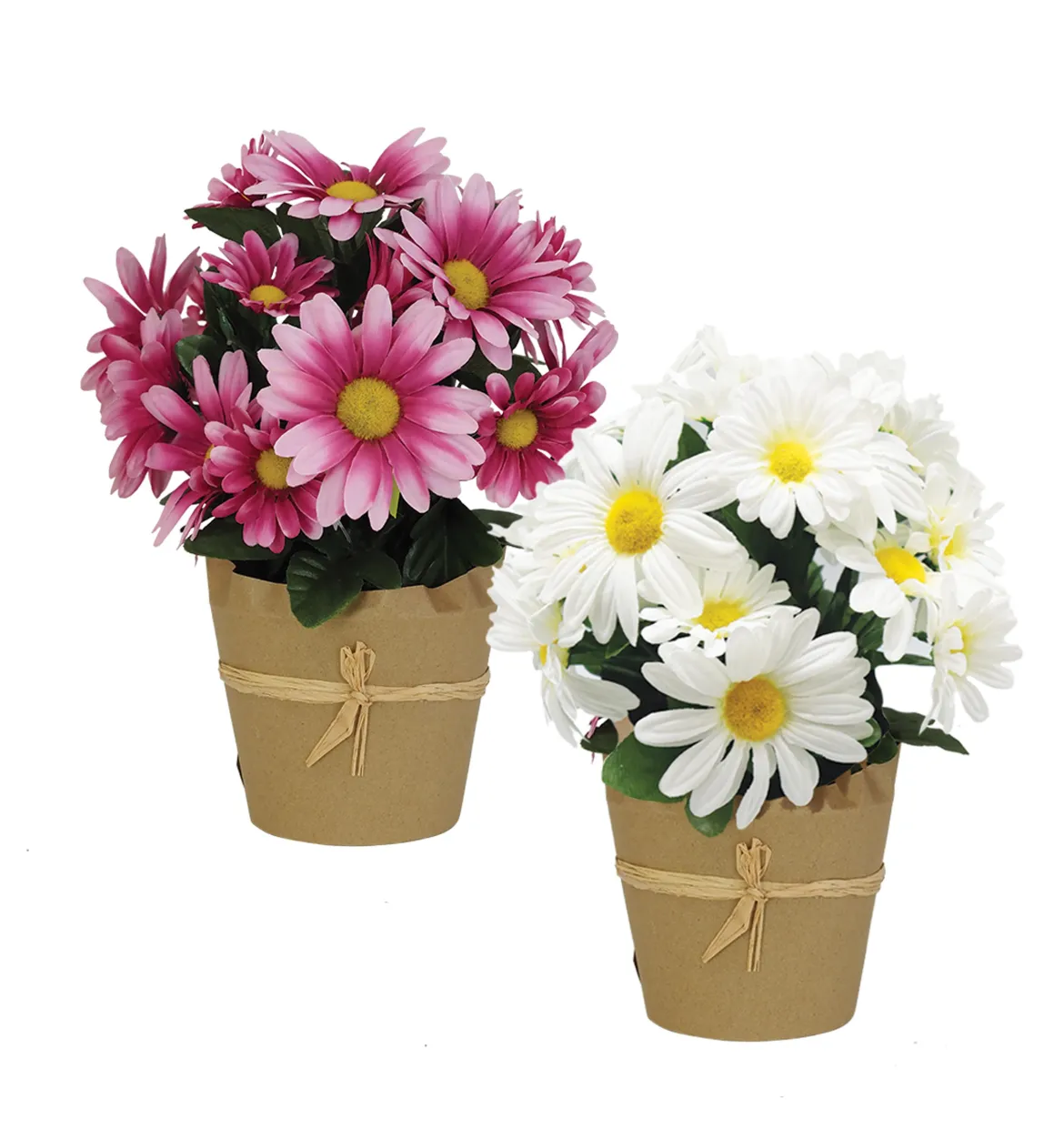 MARGUERITES POT KRAFT H.28CM BLANC ET ROSE