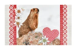 MARMOTTE TAPIS 45X75CM