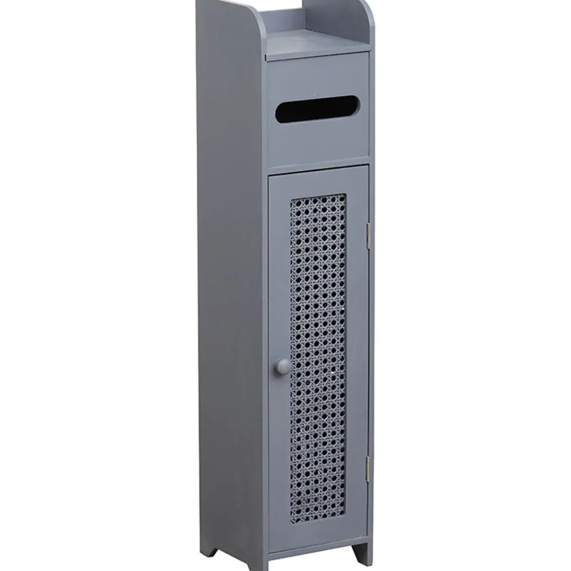 MEUBLE RESERVE ET DEROULEUR PAPIER WC 1 PORTE GRIS FONCE