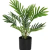MINI PALMIER 10 PALMES POT H.30CM