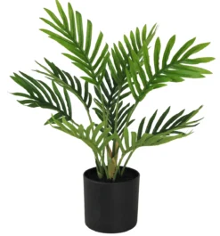 MINI PALMIER 10 PALMES POT H.30CM